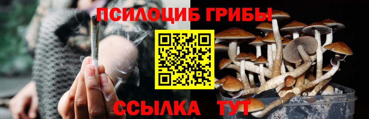 Псилоцибиновые грибы мухоморы  Псилоцибиновые грибы MAGIC MUSHROOMS  Узловая  Вход с VPN 